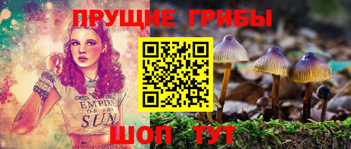Галлюциногенные грибы Psilocybine cubensis Белово
